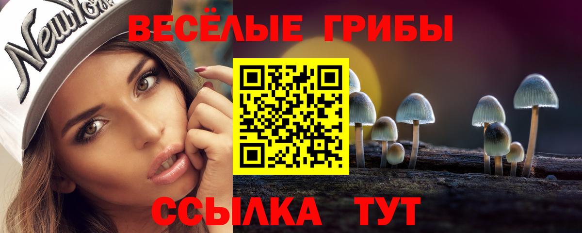 Псилоцибиновые грибы MAGIC MUSHROOMS  Вход с VPN  Королёв 